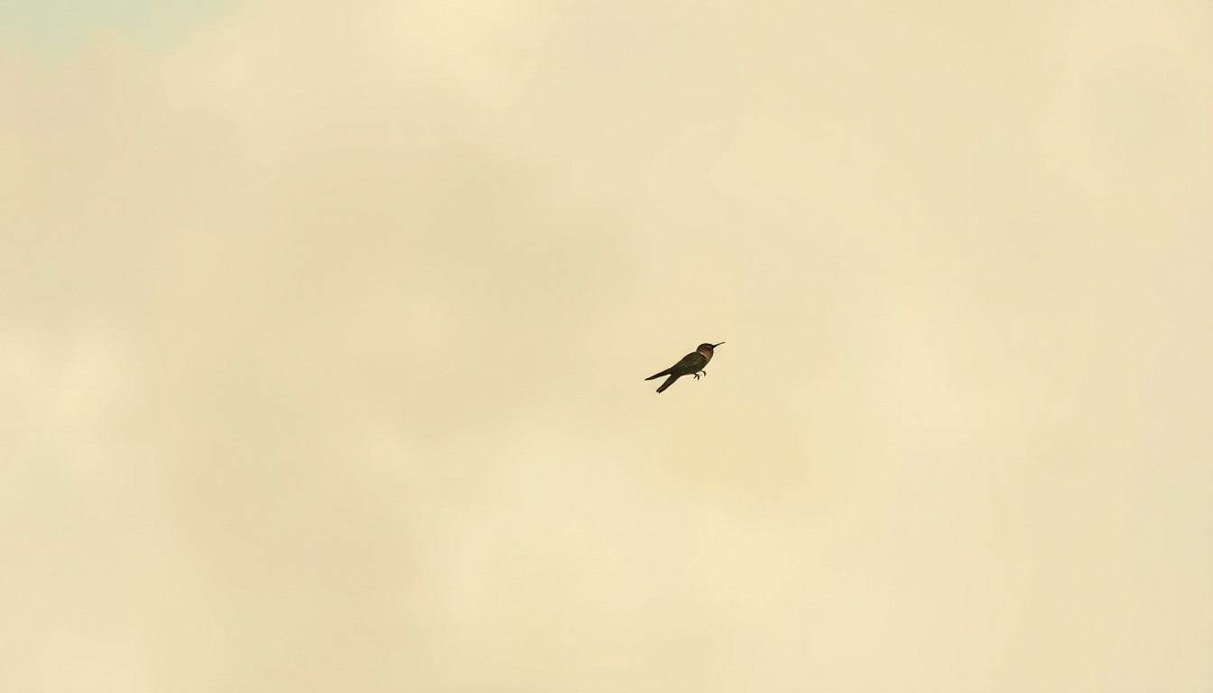 Fan-driven abstract illustration evoking the emotional arc of Fly by Nick Drake