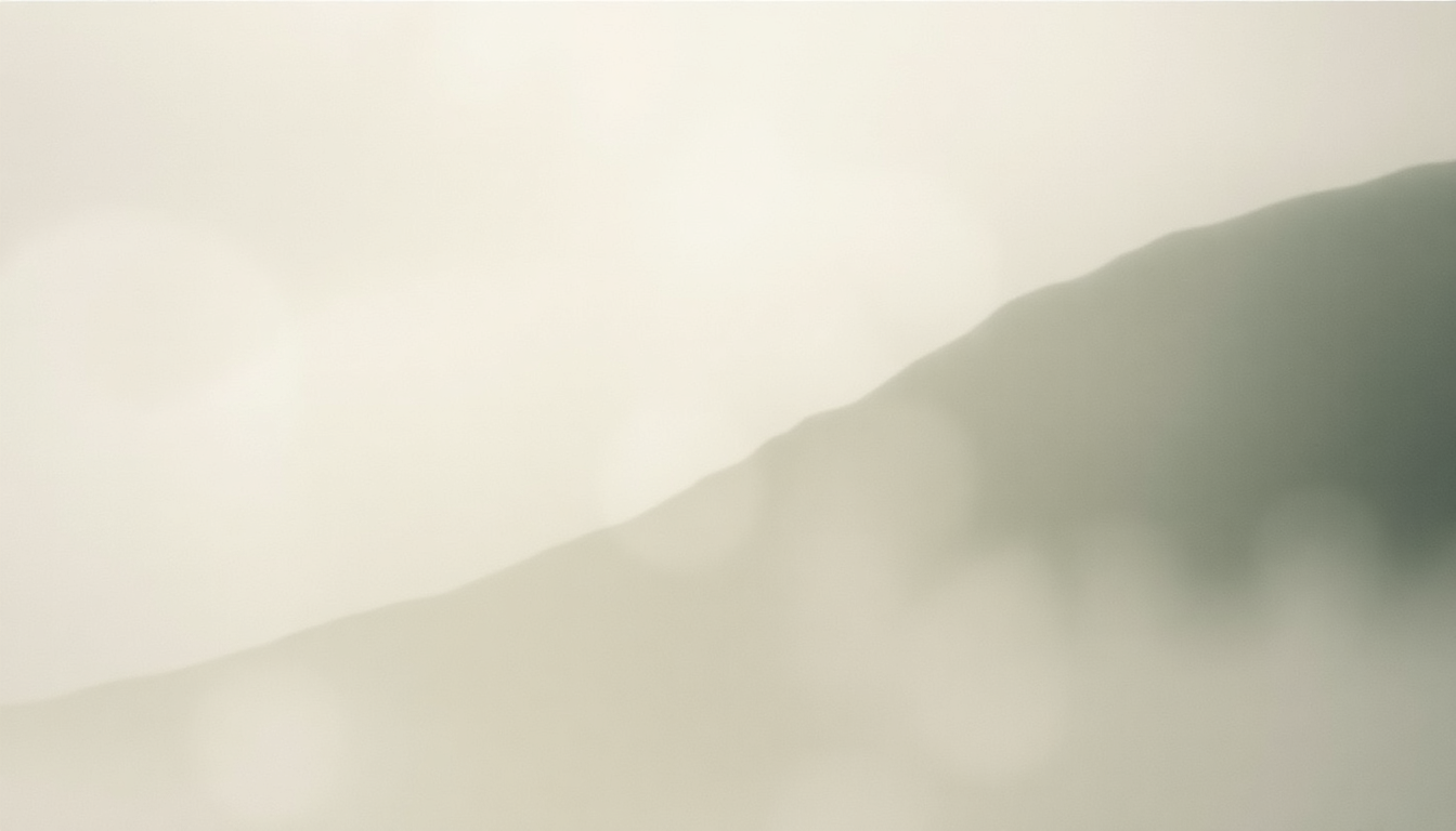 Fan-driven abstract illustration evoking the emotional arc of Split Needles by The Shins