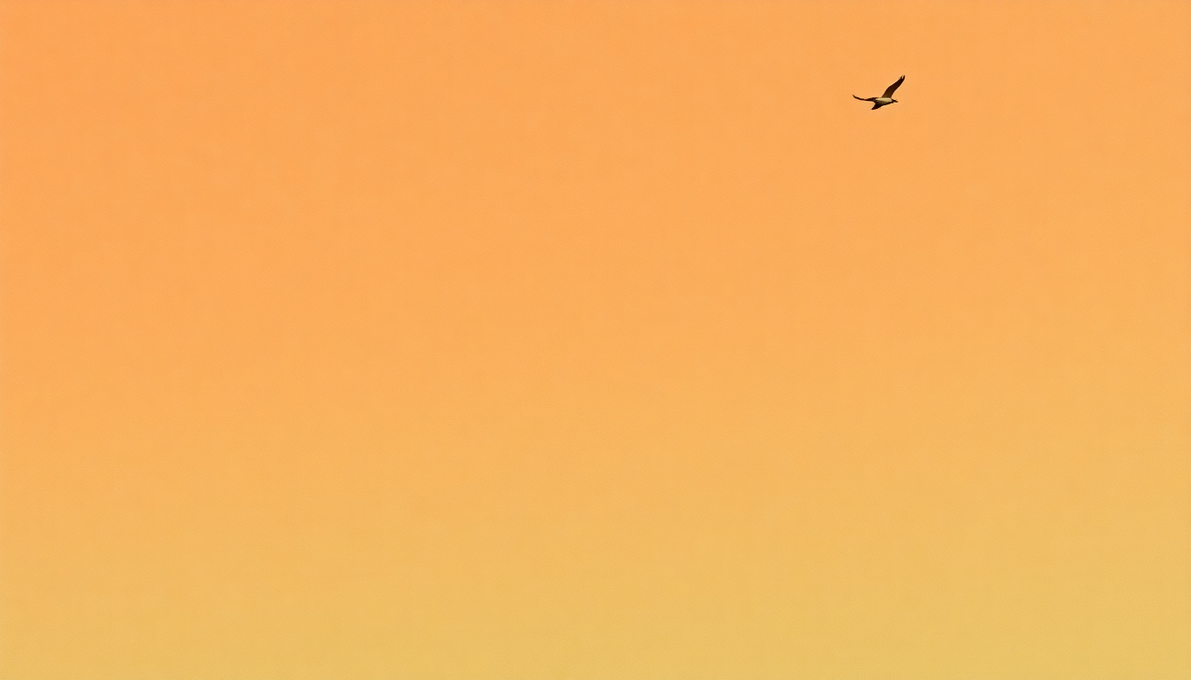 Fan-driven abstract illustration evoking the emotional arc of To Live Is to Fly by Townes Van Zandt